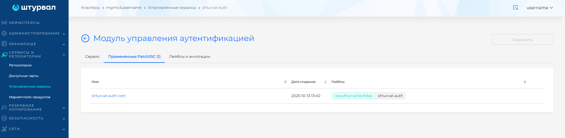 Примененный ShturvalServicePatch для auth