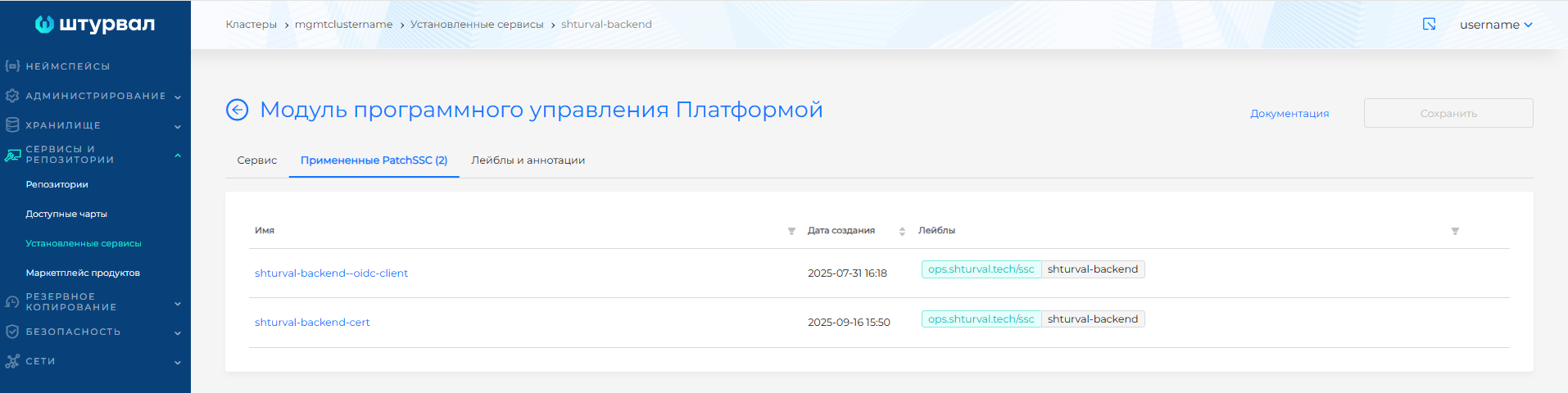 Примененный ShturvalServicePatch для backend