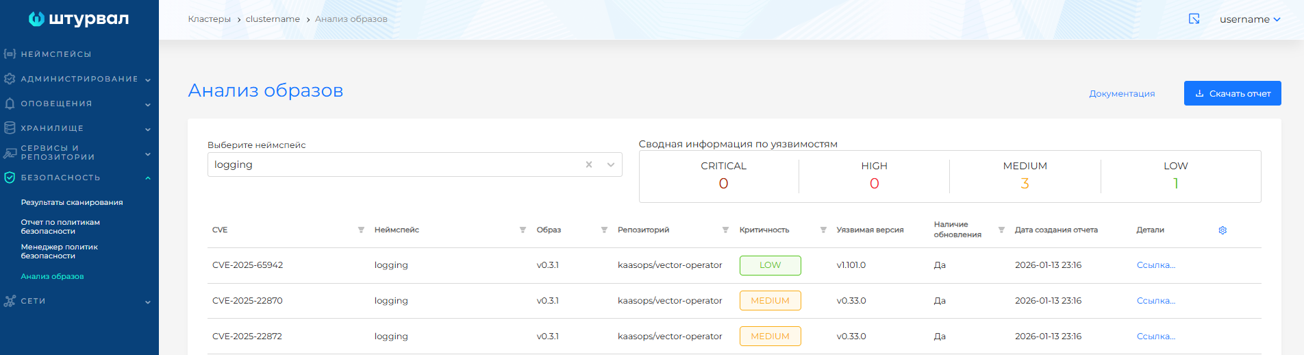 Отчет в интерфейсе кластера