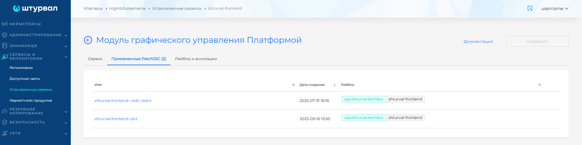 Примененный ShturvalServicePatch для frontend