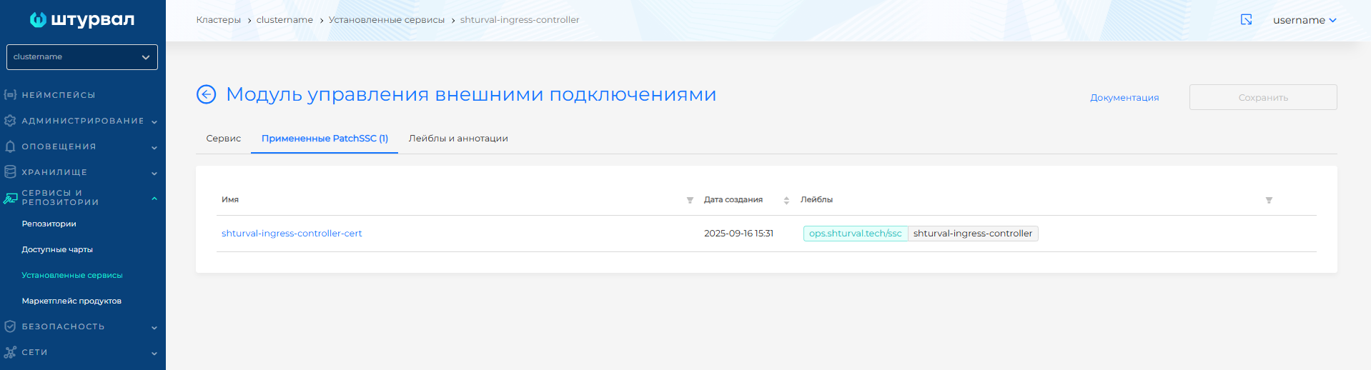 Статус Patched для ingress-controller