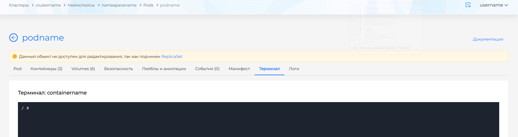 Терминал Pod